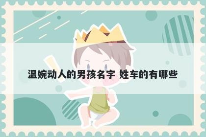 温婉动人的男孩名字 姓车的有哪...