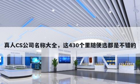 真人CS公司名称大全，这430个里...