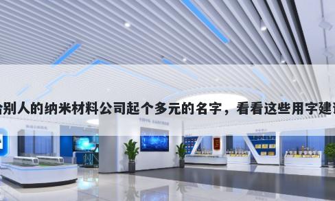 给别人的纳米材料公司起个多元...