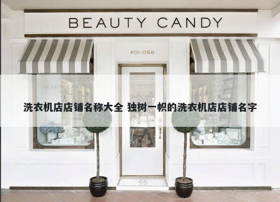 洗衣机店店铺名称大全 独树一帜的洗衣机店店铺名字