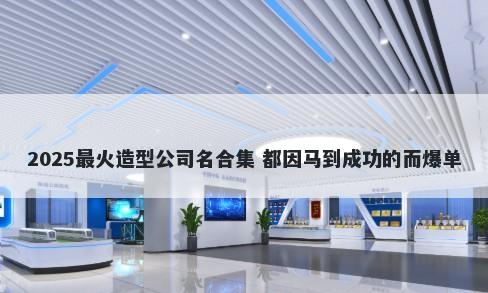 2025最火造型公司名合集 都因马到成功的而爆单