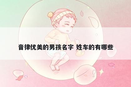 音律优美的男孩名字 姓车的有哪...