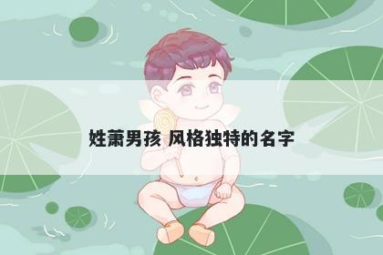 姓萧男孩 风格独特的名字