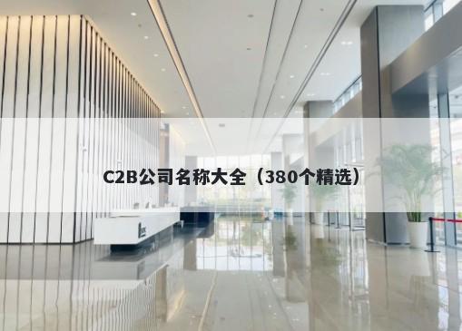 C2B公司名称大全（380个精选）