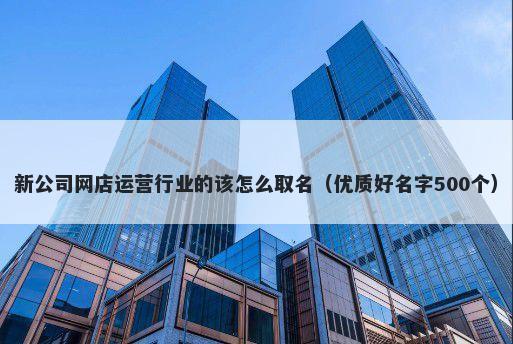 新公司网店运营行业的该怎么取名（优质好名字500个）