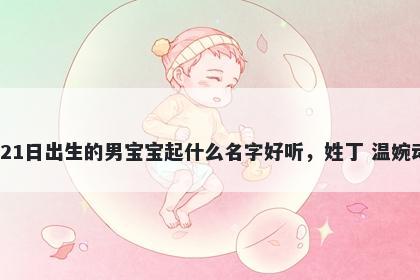 2026年-02月-21日出生的男宝宝起什么名字好听，姓丁 温婉动人的名字推荐