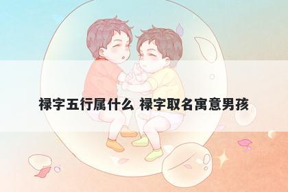 禄字五行属什么 禄字取名寓意男...