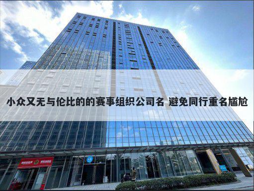 小众又无与伦比的的赛事组织公...