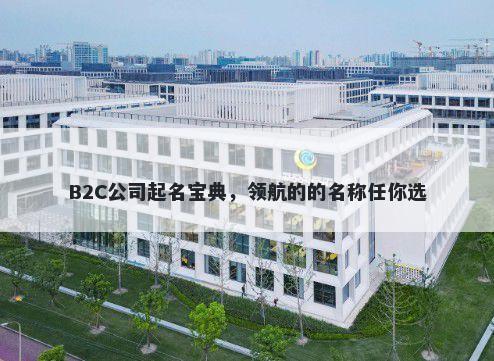 B2C公司起名宝典，领航的的名称任你选