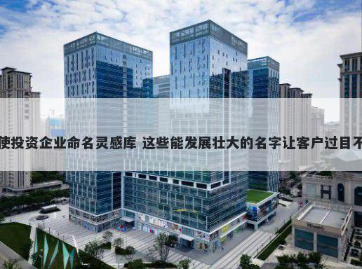 天使投资企业命名灵感库 这些能发展壮大的名字让客户过目不忘