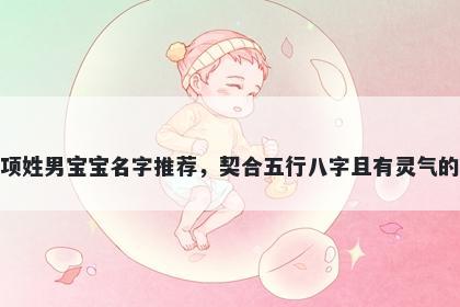 项姓男宝宝名字推荐，契合五行...