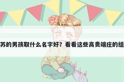 姓苏的男孩取什么名字好？看看这些高贵端庄的组合