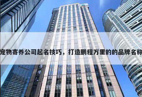 宠物寄养公司起名技巧，打造鹏程万里的的品牌名称