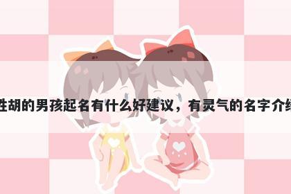 姓胡的男孩起名有什么好建议，有灵气的名字介绍