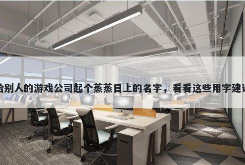 给别人的游戏公司起个蒸蒸日上的名字，看看这些用字建议