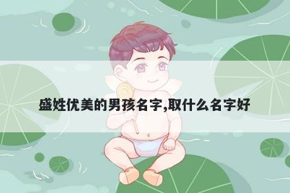 盛姓优美的男孩名字,取什么名字...