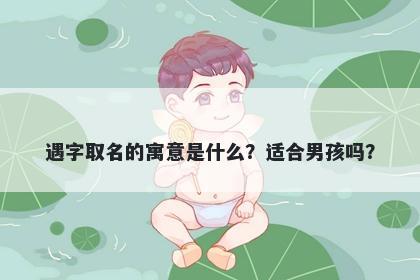 遇字取名的寓意是什么？适合男...