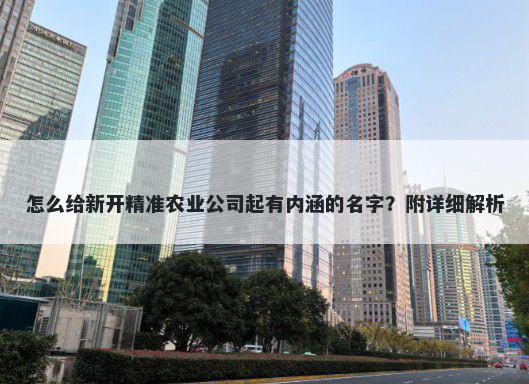 怎么给新开精准农业公司起有内...
