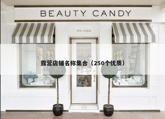 露营店铺名称集合（250个优质）