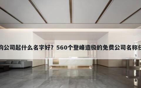 采购公司起什么名字好？560个登峰造极的免费公司名称任选