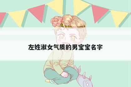 左姓淑女气质的男宝宝名字