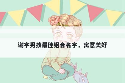 谢字男孩最佳组合名字，寓意美...