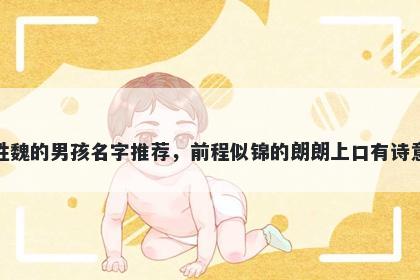 姓魏的男孩名字推荐，前程似锦...