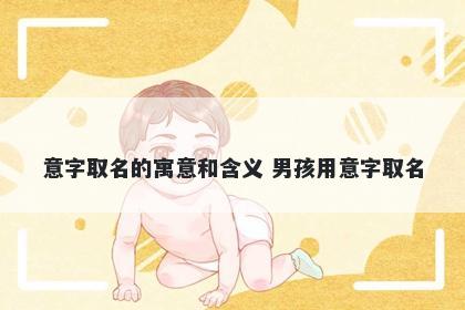 意字取名的寓意和含义 男孩用意...