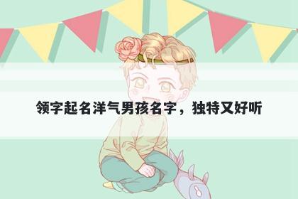 领字起名洋气男孩名字，独特又...