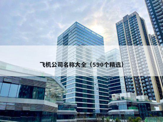 飞机公司名称大全（590个精选）