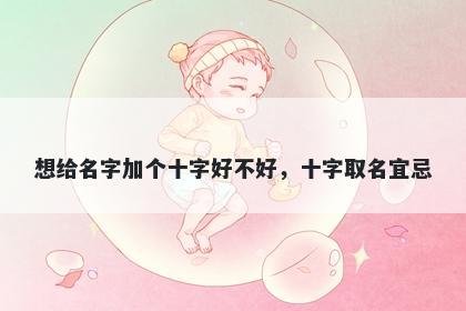 想给名字加个十字好不好，十字...