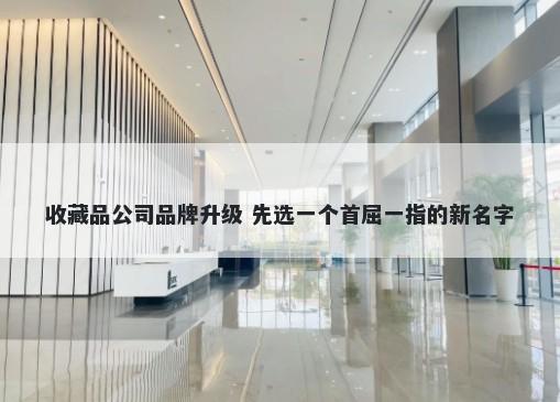 收藏品公司品牌升级 先选一个首屈一指的新名字