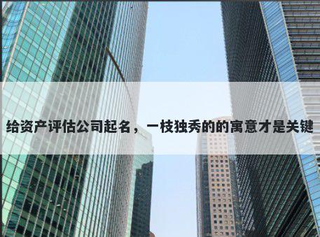 给资产评估公司起名，一枝独秀...