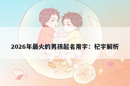 2026年最火的男孩起名用字：杞...