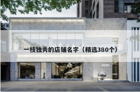 一枝独秀的店铺名字（精选380个）