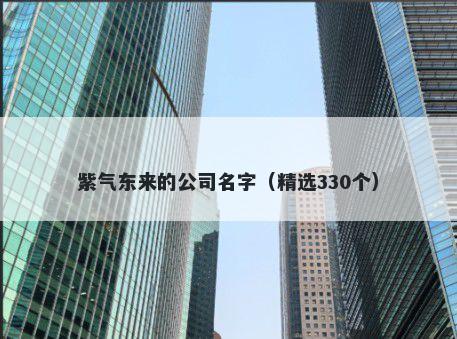 紫气东来的公司名字（精选330个...