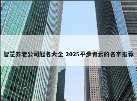 智慧养老公司起名大全 2025平步青云的名字推荐
