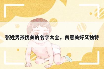 张姓男孩优美的名字大全,寓意美好又独特