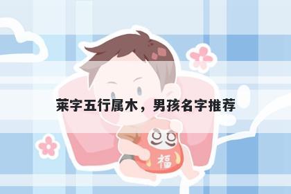 莱字五行属木，男孩名字推荐