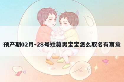 预产期02月-28号姓莫男宝宝怎么取名有寓意