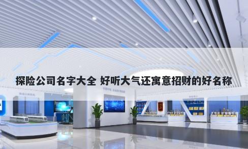 探险公司名字大全 好听大气还寓...