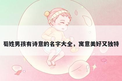 荀姓男孩有诗意的名字大全，寓...