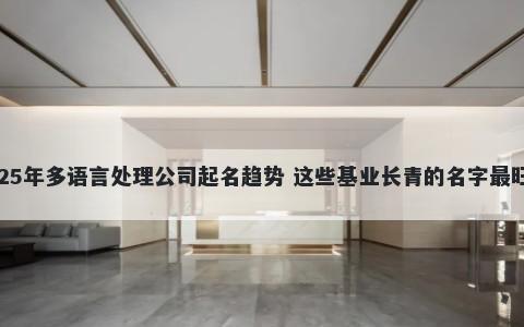 2025年多语言处理公司起名趋势...