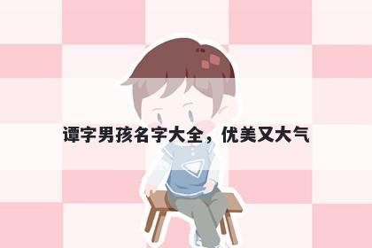 谭字男孩名字大全，优美又大气