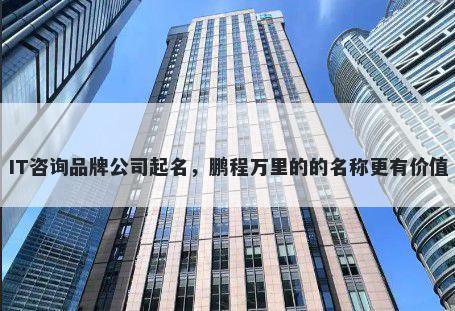 IT咨询品牌公司起名，鹏程万里的的名称更有价值