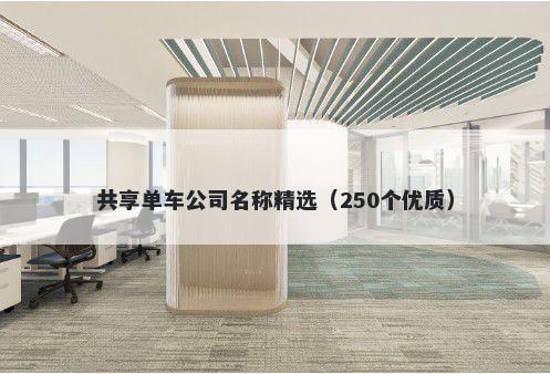 共享单车公司名称精选（250个优...