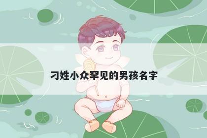 刁姓小众罕见的男孩名字