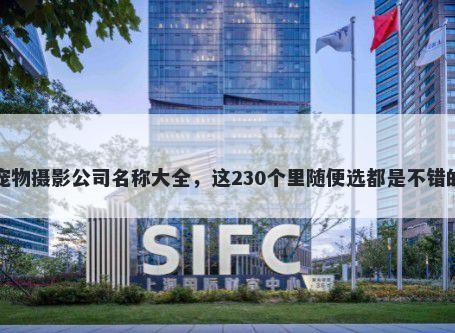 宠物摄影公司名称大全，这230个里随便选都是不错的