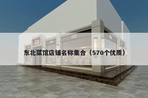 东北菜馆店铺名称集合（570个优质）