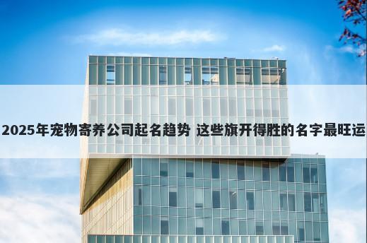 2025年宠物寄养公司起名趋势 这些旗开得胜的名字最旺运